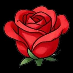 Rose keepsake used after the birthday wish